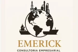 AnyConv.com__aureum-contabilidade-cliente-emerike-consultoria-empresarial